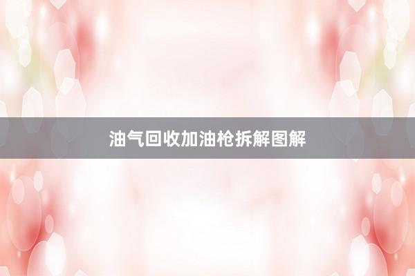 油气回收加油枪拆解图解